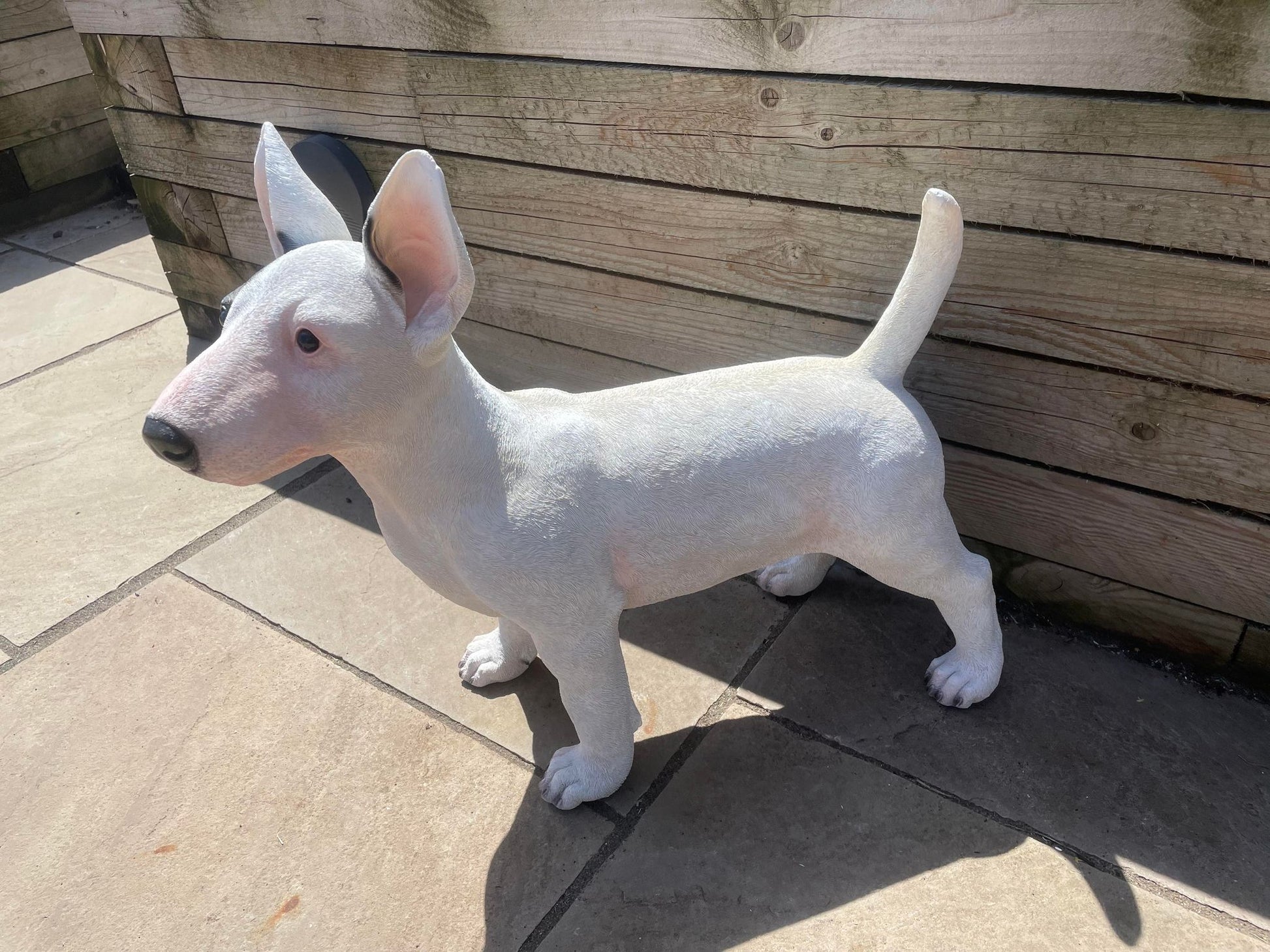 Life - Size Standing Bull Terrier - Backyard Bliss