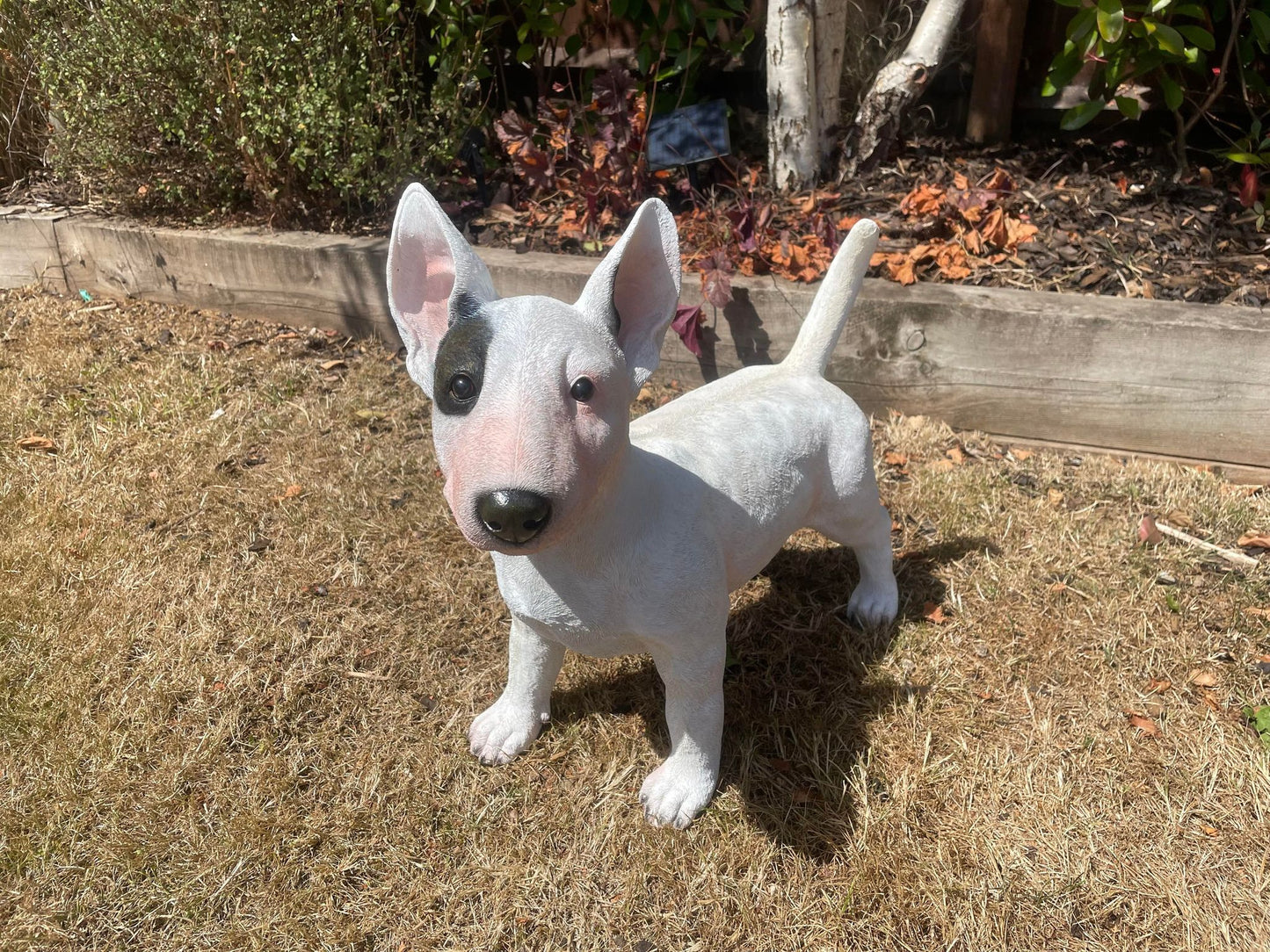Life - Size Standing Bull Terrier - Backyard Bliss