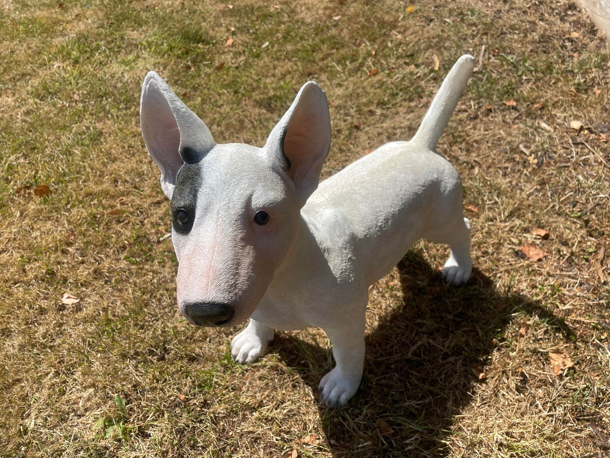 Life - Size Standing Bull Terrier - Backyard Bliss