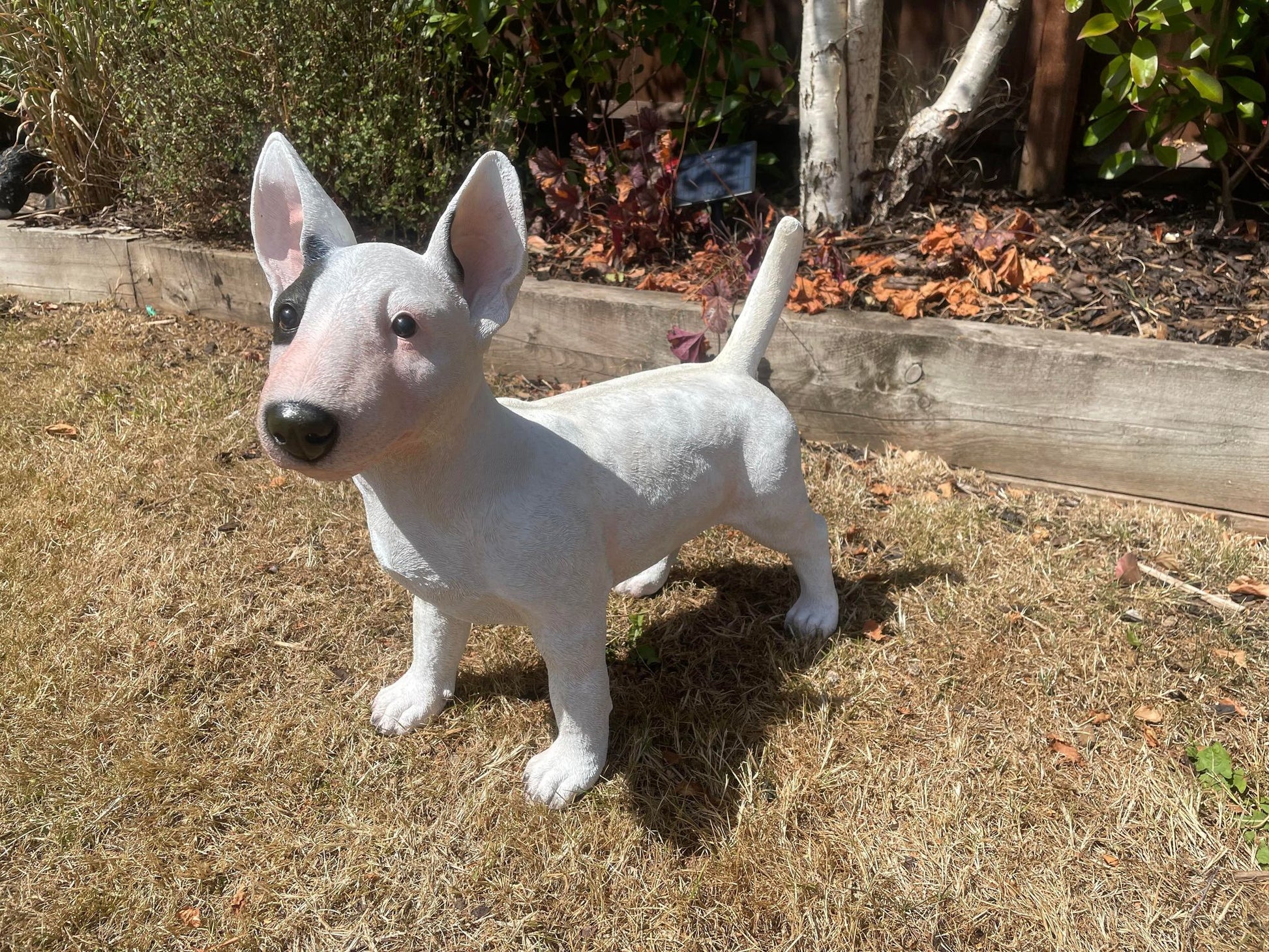 Life - Size Standing Bull Terrier - Backyard Bliss