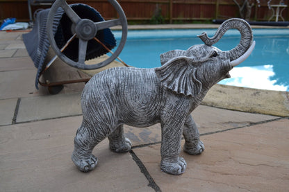 Lucky Light Grey Elephant - Backyard Bliss