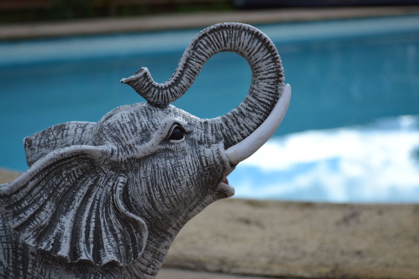 Lucky Light Grey Elephant - Backyard Bliss