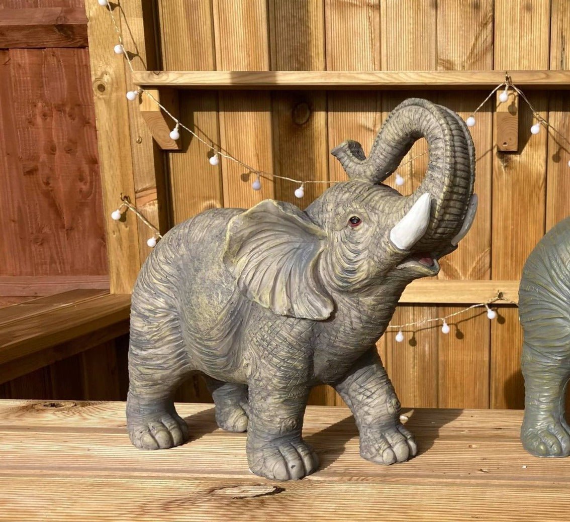 Lucky the African Elephant - Backyard Bliss