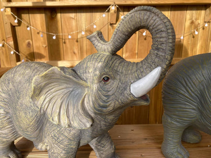 Lucky the African Elephant - Backyard Bliss