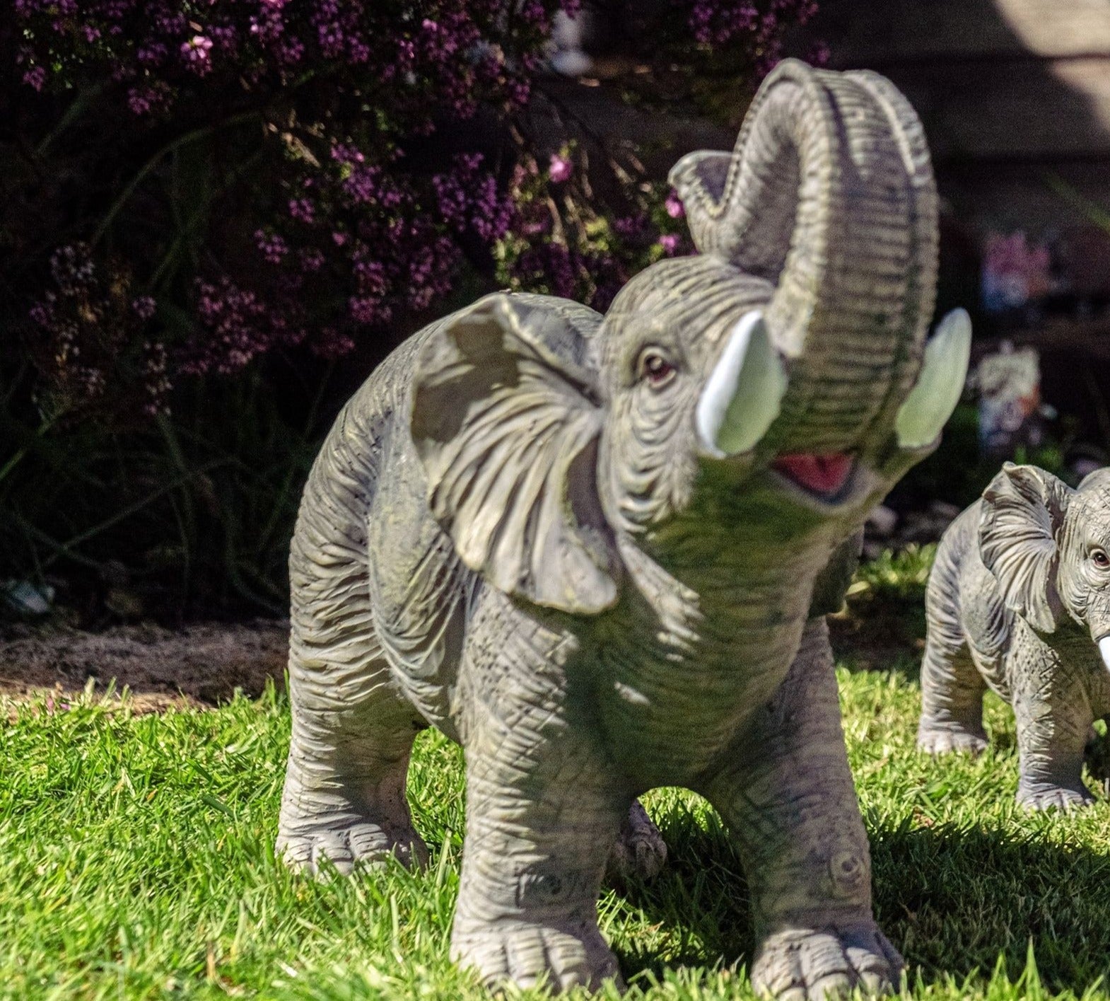 Lucky the African Elephant - Backyard Bliss