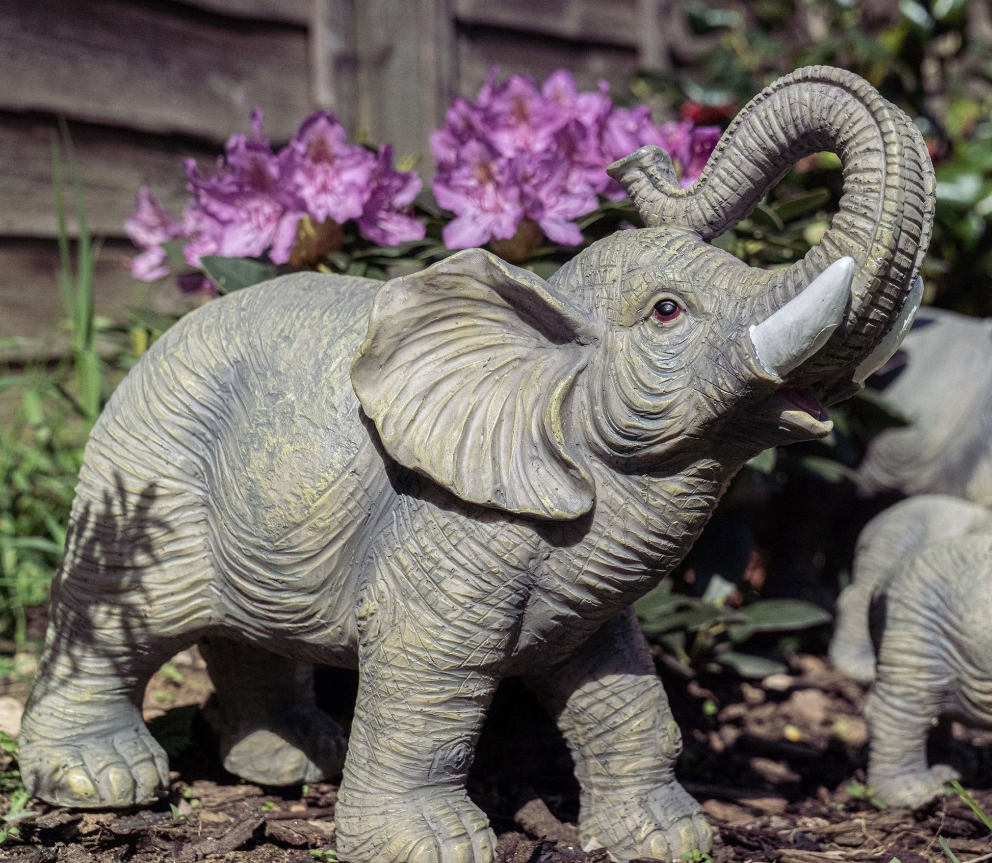 Lucky the African Elephant - Backyard Bliss