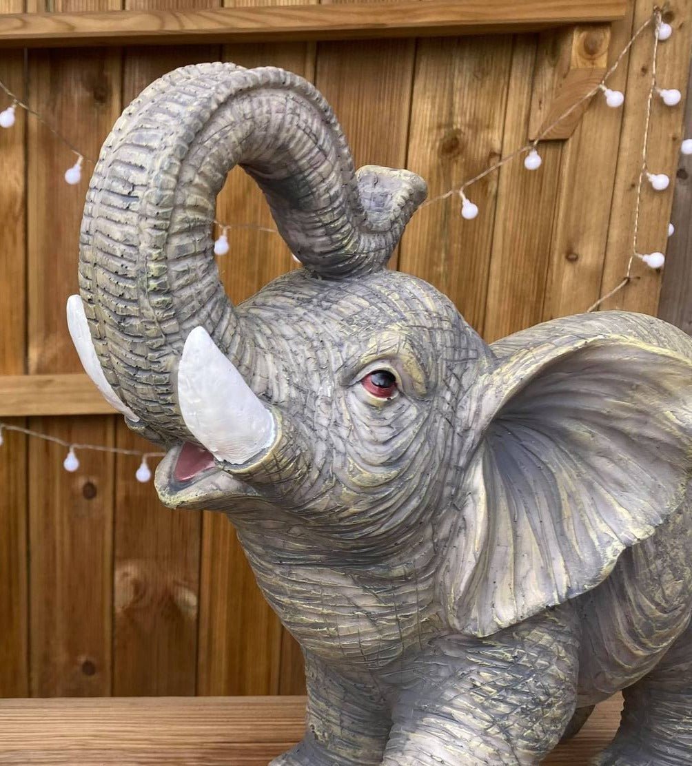 Lucky the African Elephant - Backyard Bliss