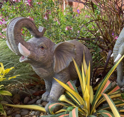 Lucky the African Elephant - Backyard Bliss