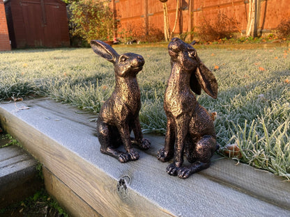Medium Bronze Moon - Gazing Hares Ornament Set - Backyard Bliss