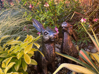 Medium Bronze Moon - Gazing Hares Ornament Set - Backyard Bliss