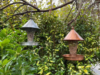 Metal Grate Bird Feeder - Backyard Bliss