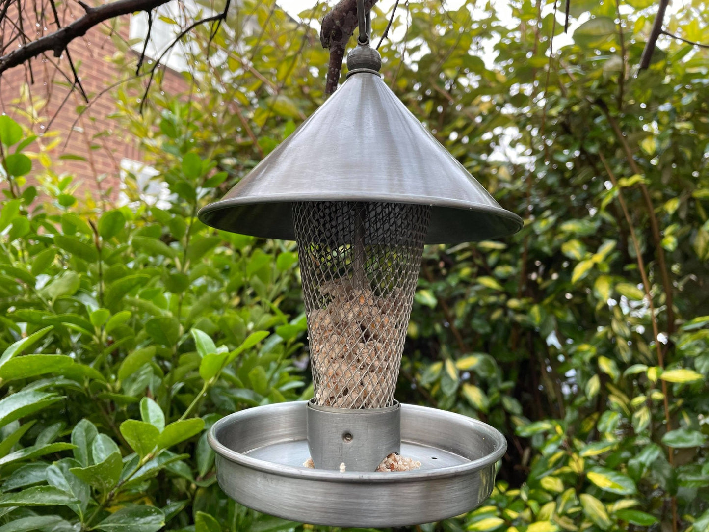 Metal Grate Bird Feeder - Backyard Bliss