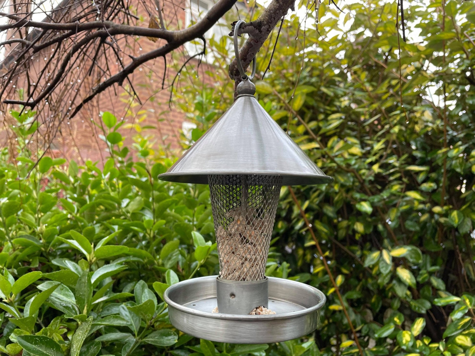 Metal Grate Bird Feeder - Backyard Bliss
