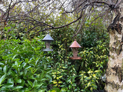 Metal Grate Bird Feeder - Backyard Bliss