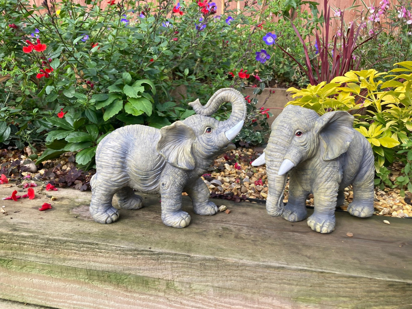 Mini Elephant Set - Backyard Bliss