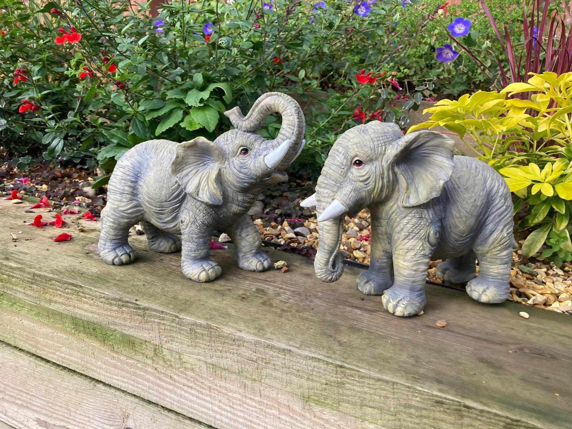 Mini Elephant Set - Backyard Bliss