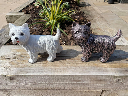 Mini Westies - Backyard Bliss