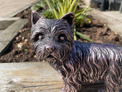 Mini Westies - Backyard Bliss