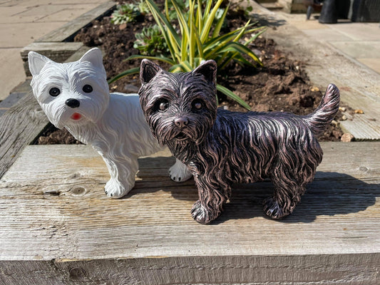 Mini Westies - Backyard Bliss