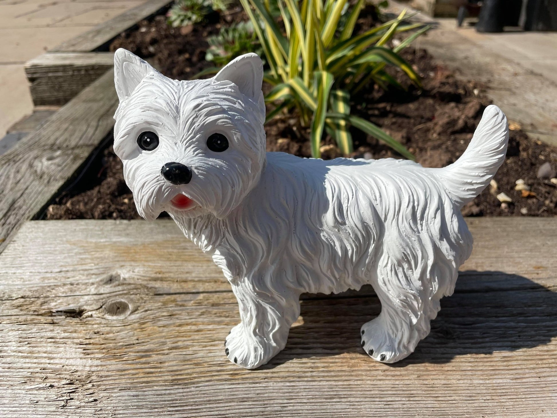 Mini Westies - Backyard Bliss