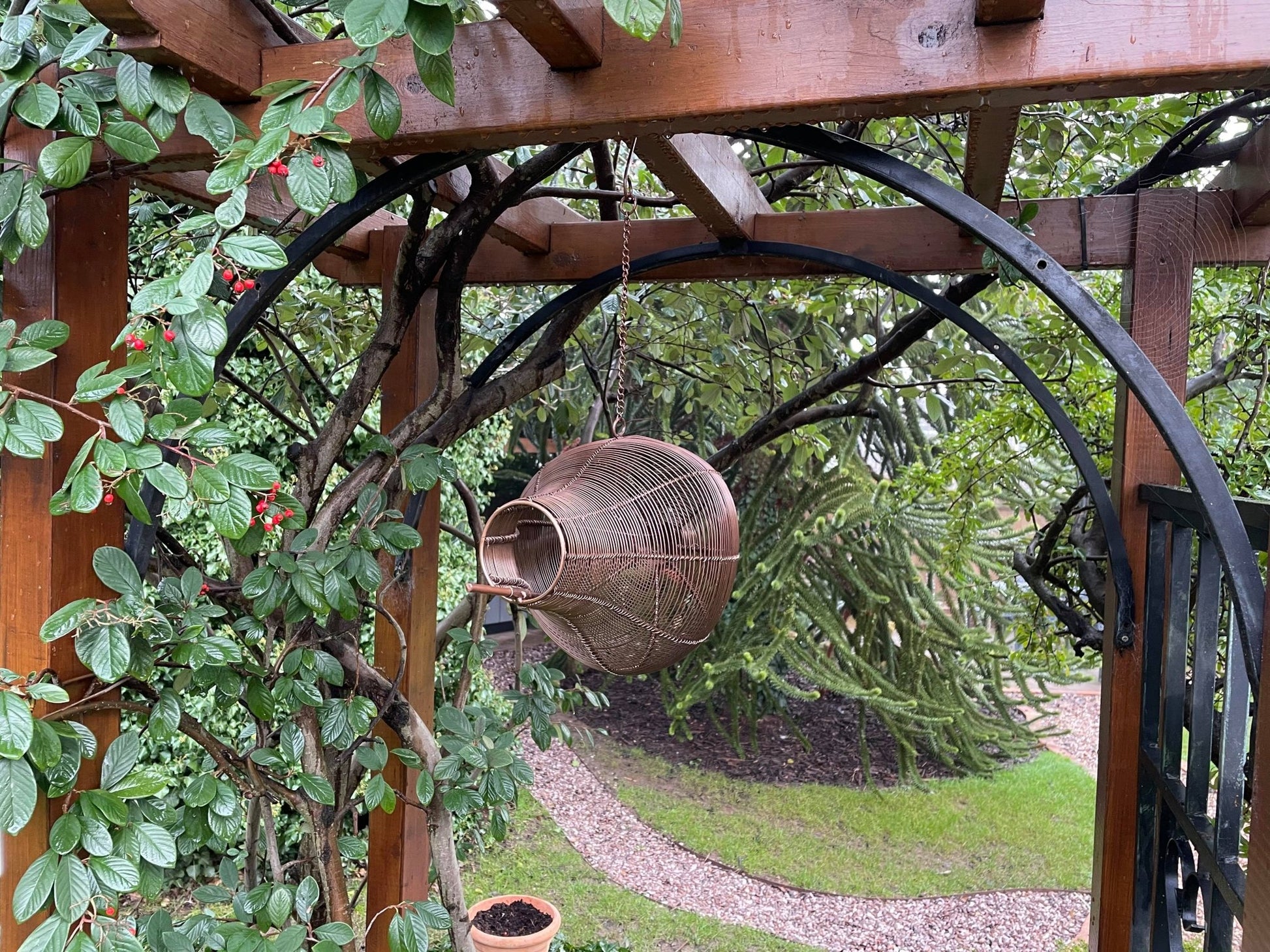Modern Bird Feeder - Backyard Bliss