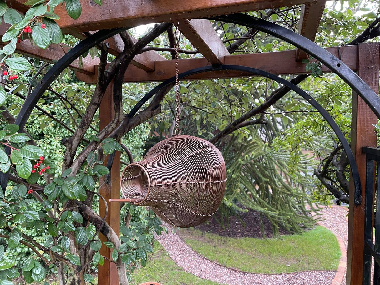Modern Bird Feeder - Backyard Bliss