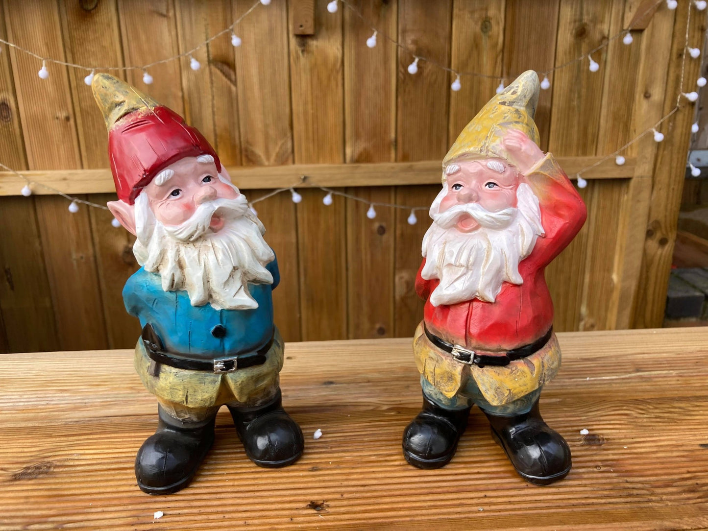 Naughty Gnomes - Backyard Bliss