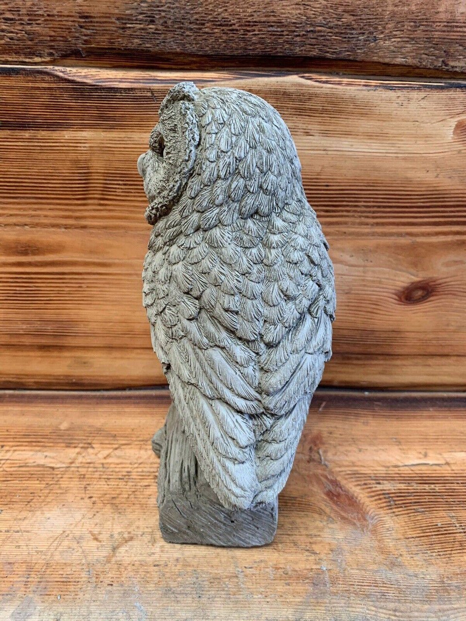 Owl on Log - Backyard Bliss