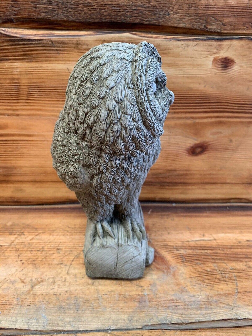 Owl on Log - Backyard Bliss
