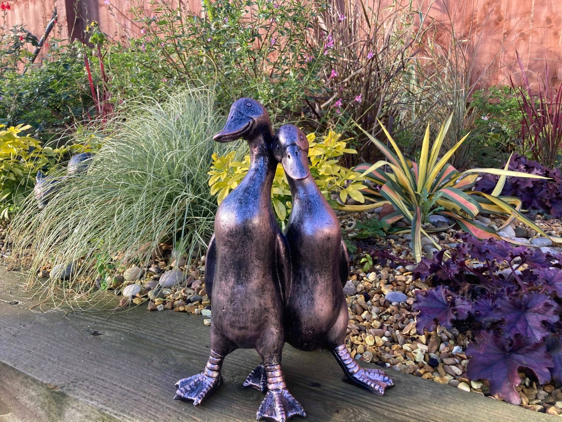 Pair of Ducks - Backyard Bliss