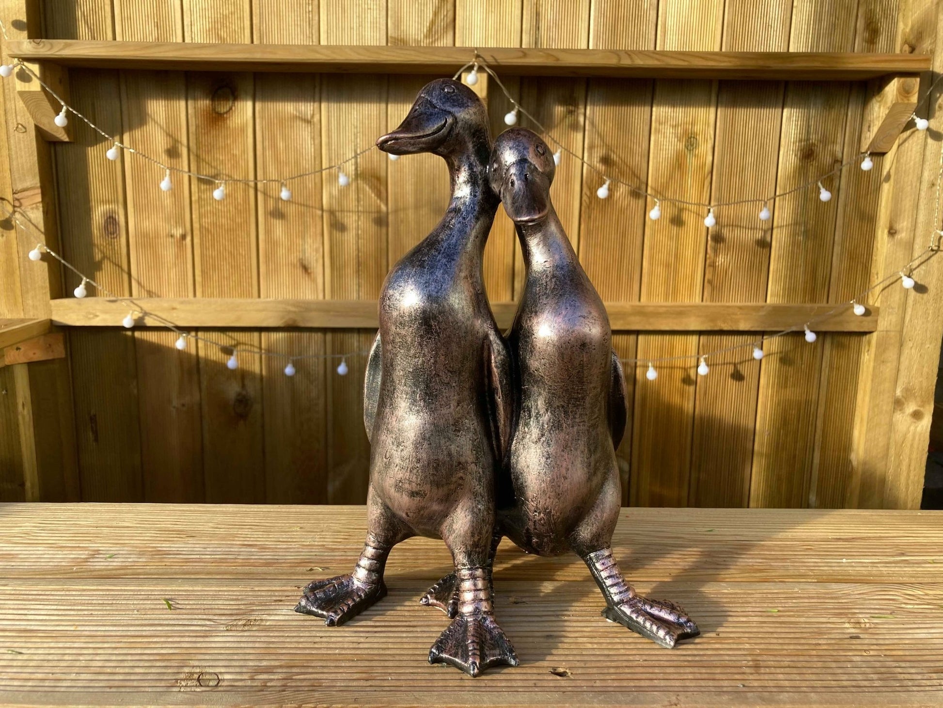 Pair of Ducks - Backyard Bliss