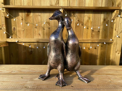 Pair of Ducks - Backyard Bliss