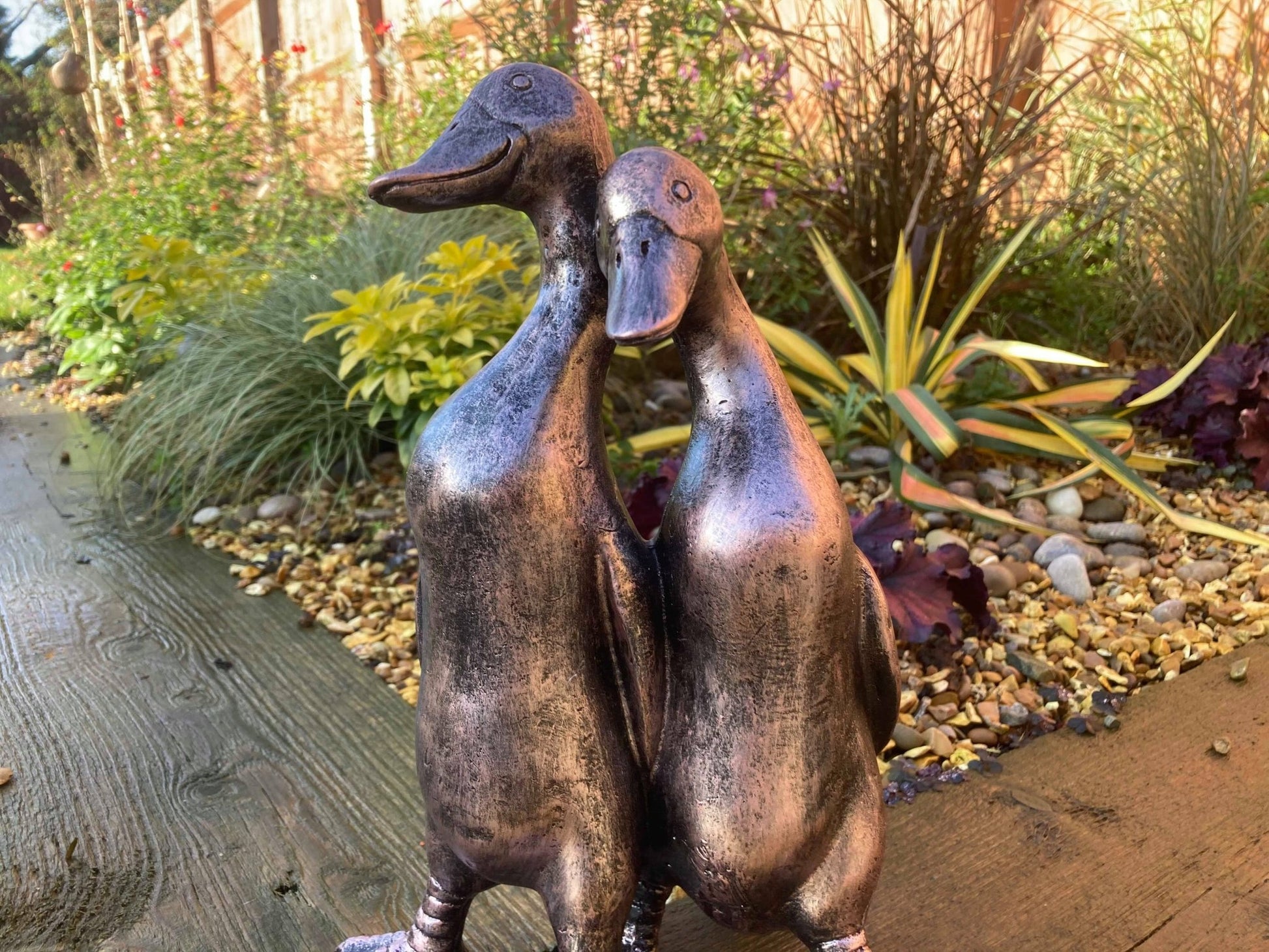 Pair of Ducks - Backyard Bliss