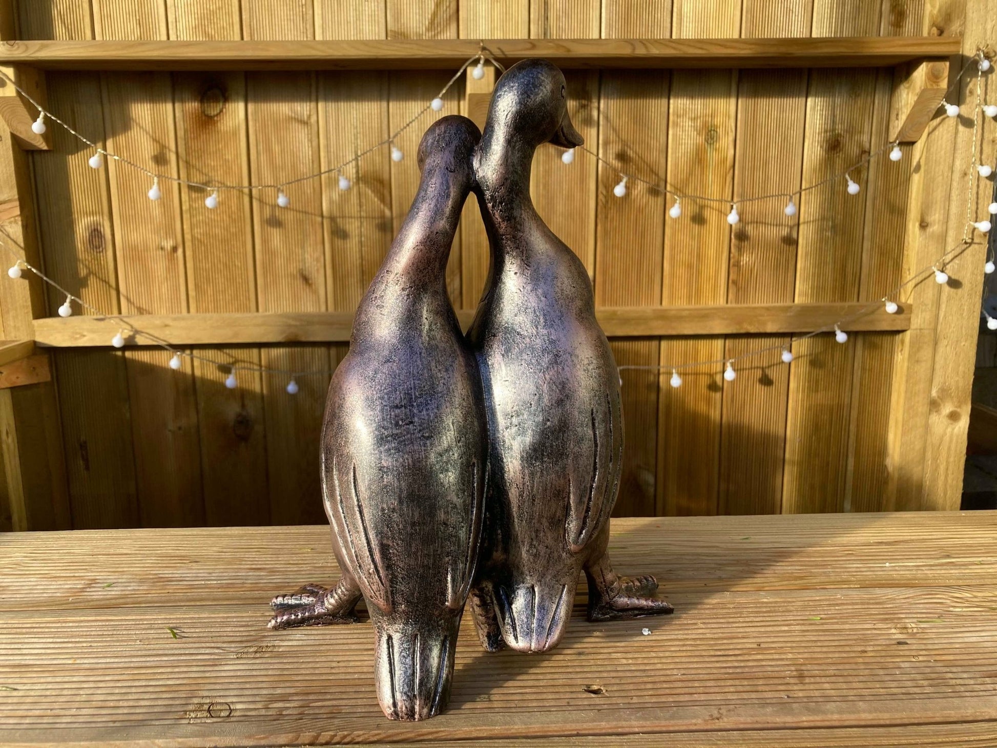 Pair of Ducks - Backyard Bliss