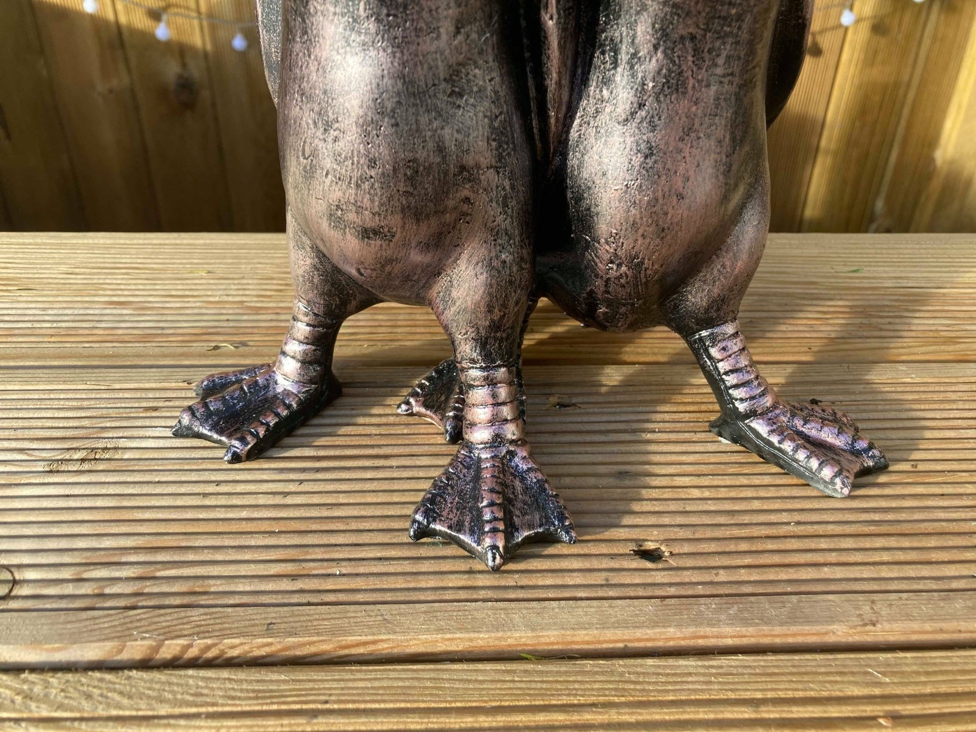 Pair of Ducks - Backyard Bliss