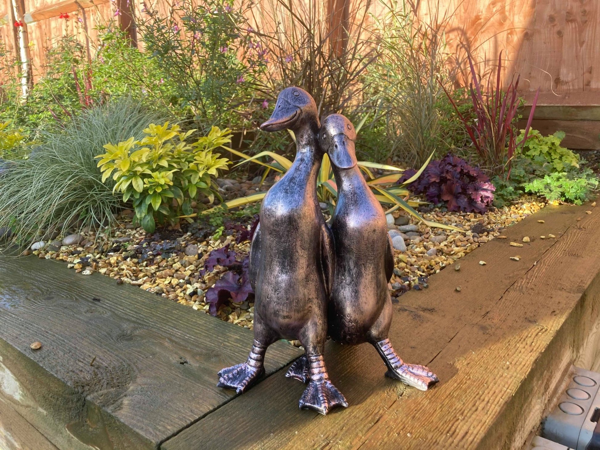 Pair of Ducks - Backyard Bliss