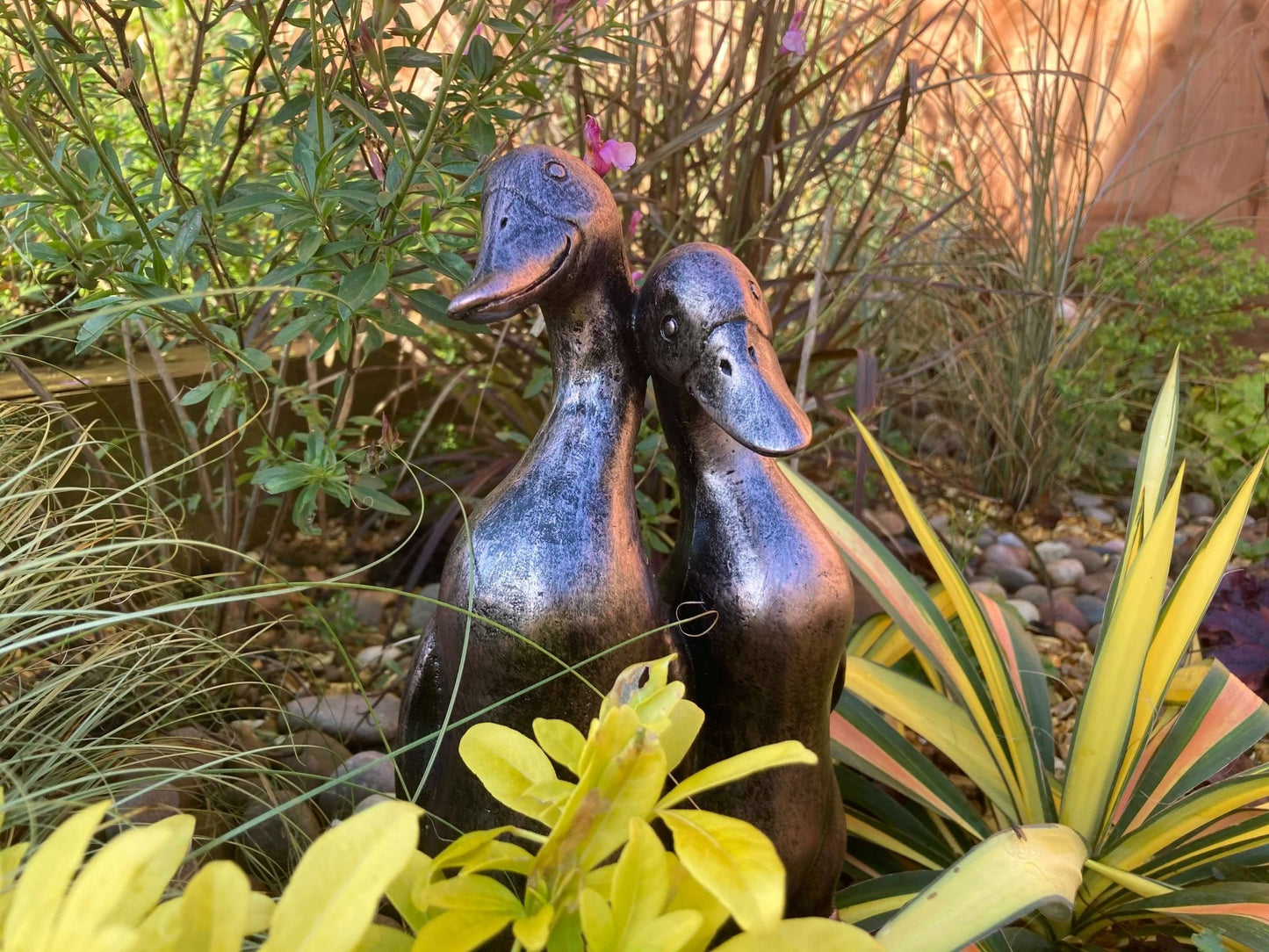 Pair of Ducks - Backyard Bliss