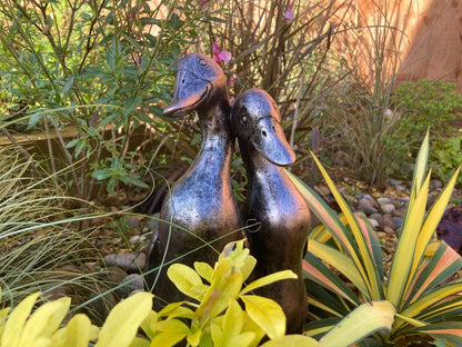 Pair of Ducks - Backyard Bliss