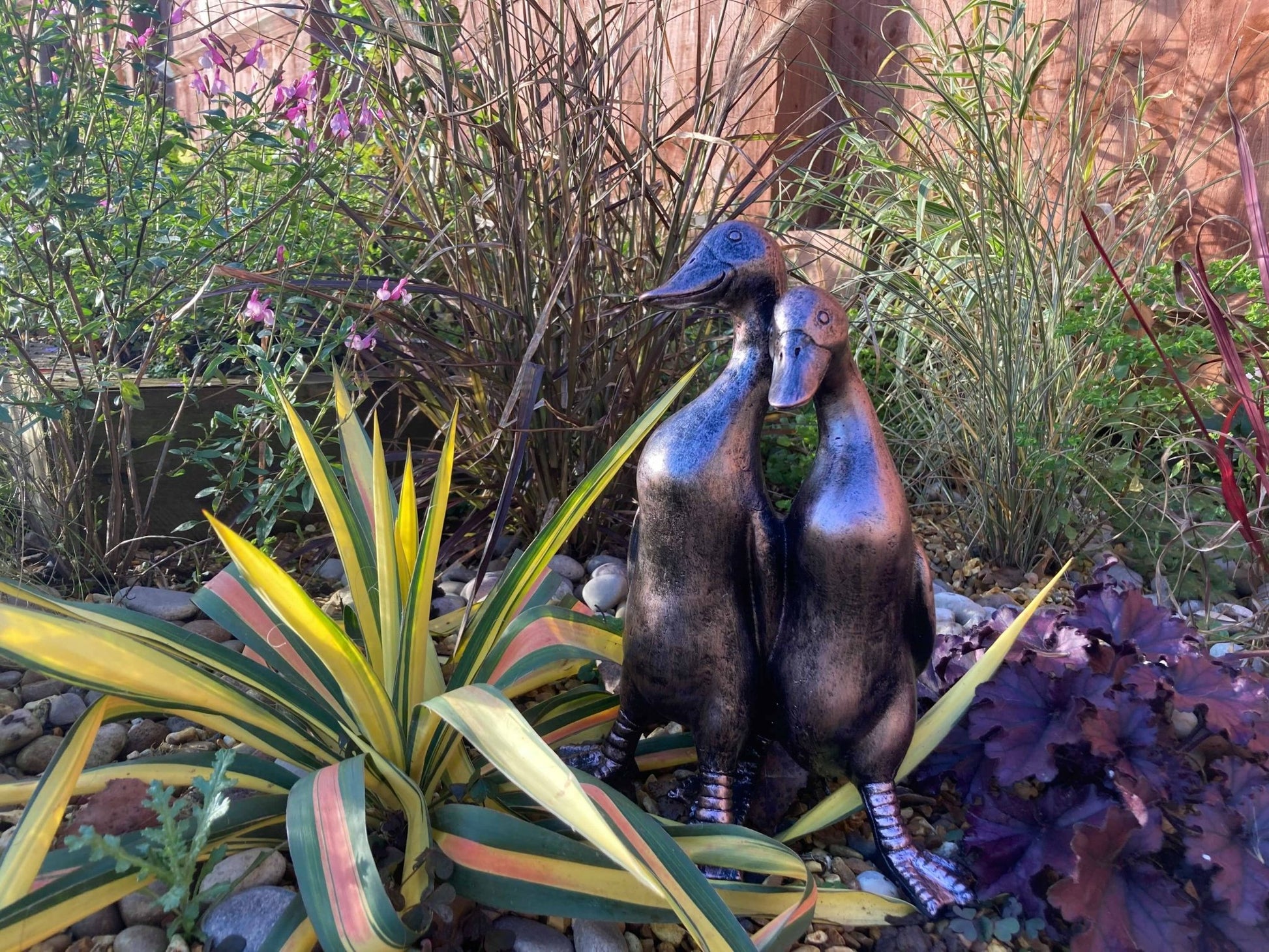 Pair of Ducks - Backyard Bliss