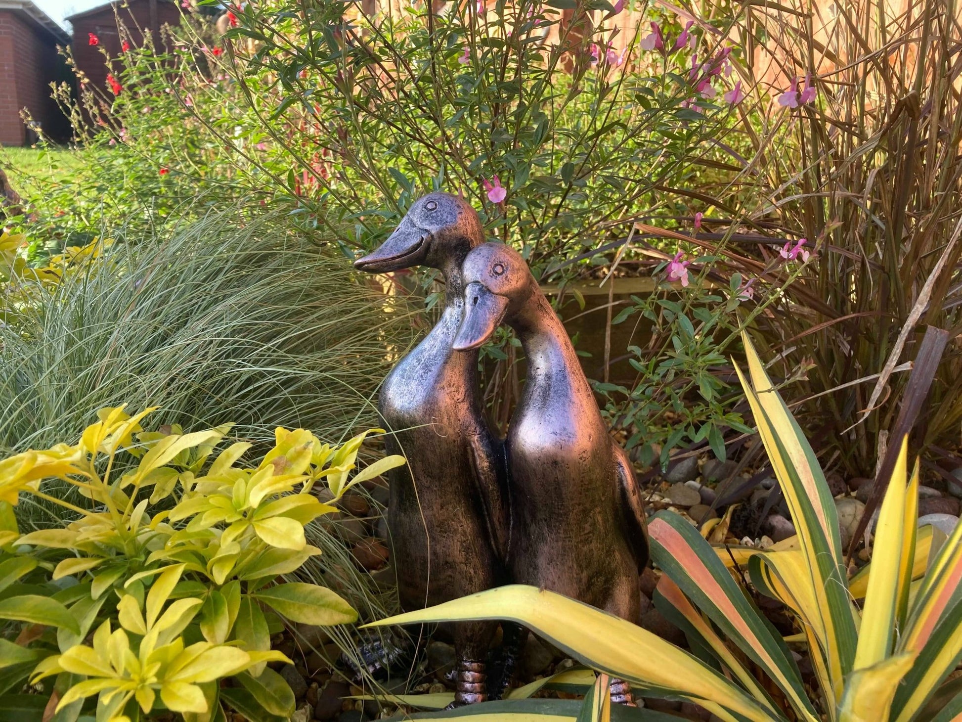 Pair of Ducks - Backyard Bliss