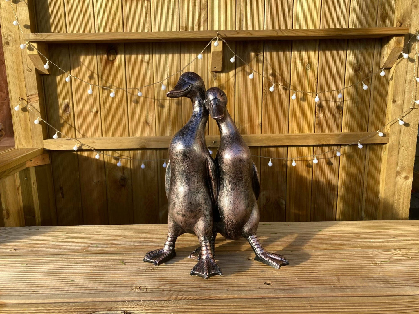 Pair of Ducks - Backyard Bliss