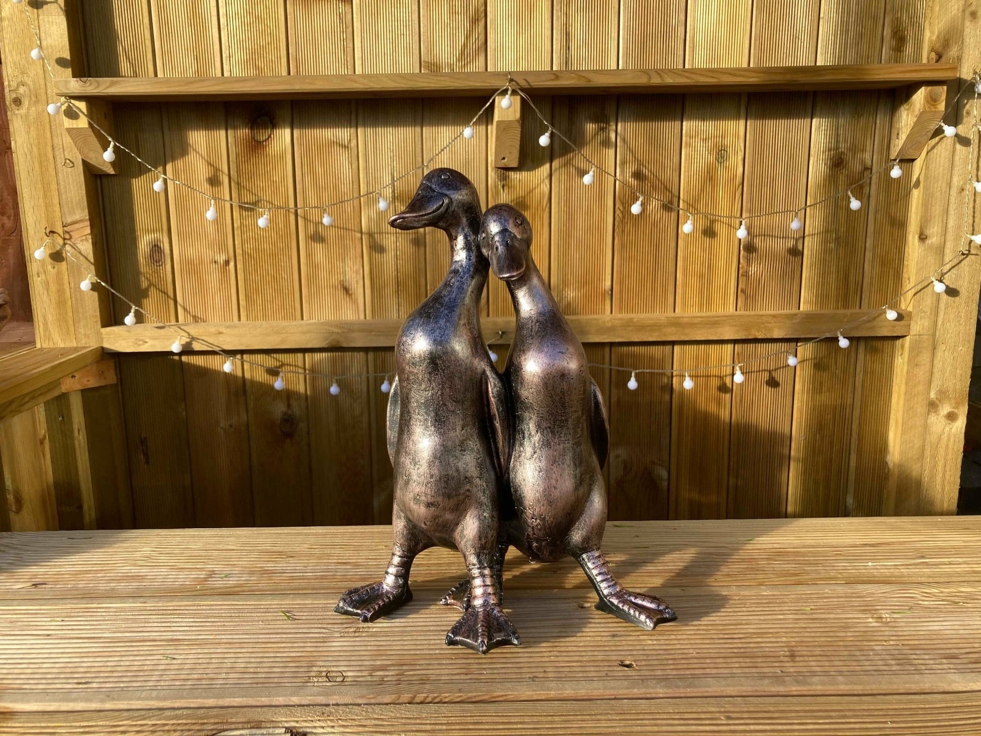 Pair of Ducks - Backyard Bliss