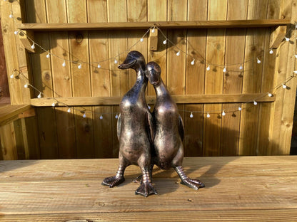 Pair of Ducks - Backyard Bliss