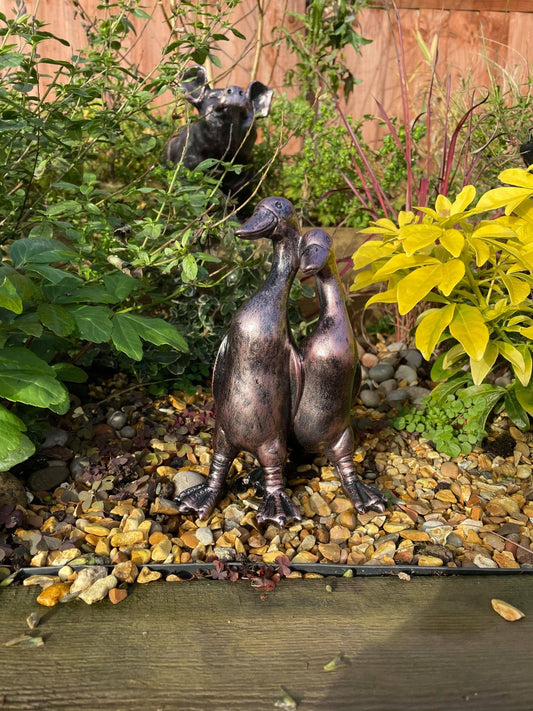 Pair of Mini Ducks - Backyard Bliss