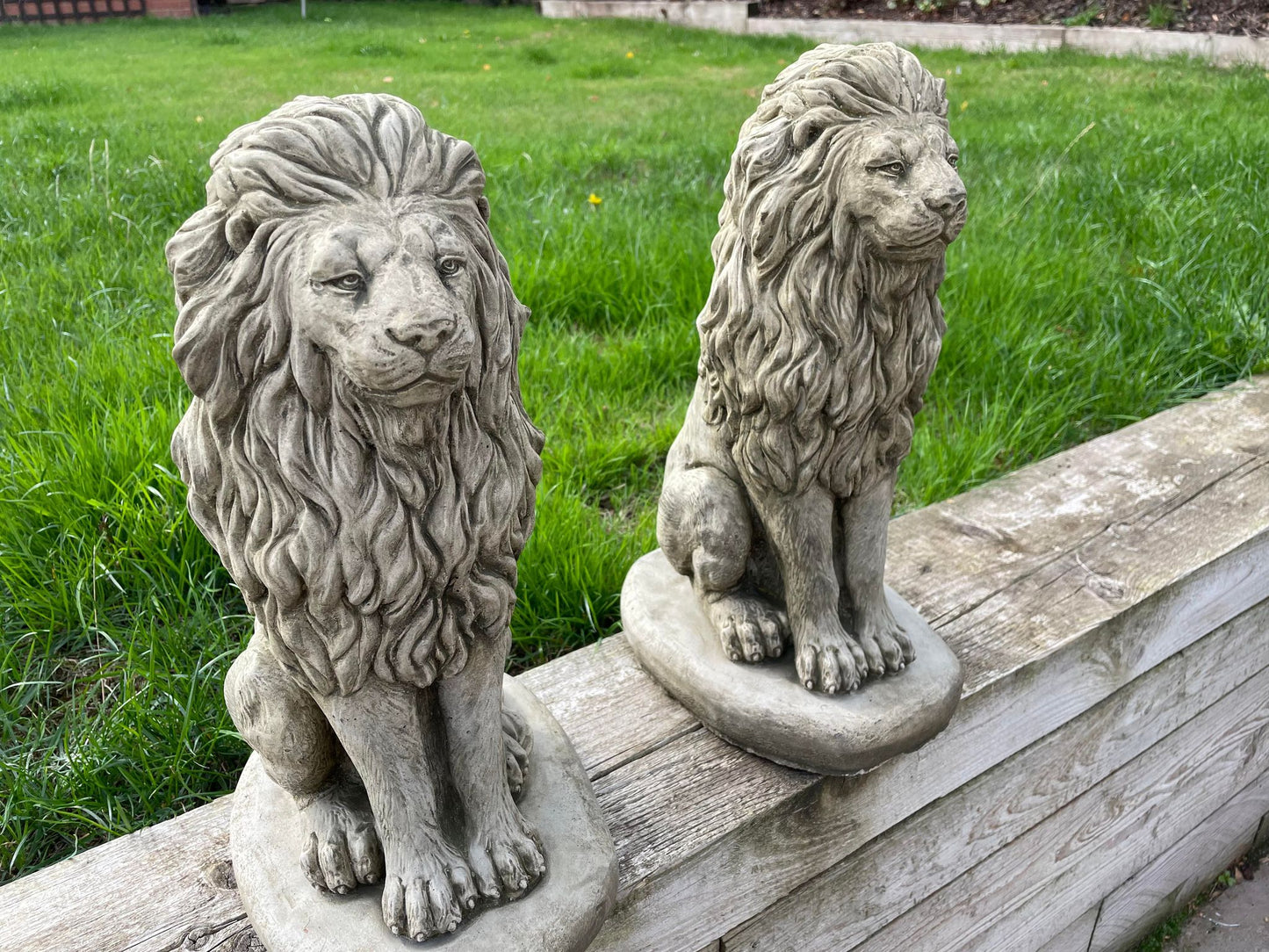 Pair of Sitting Lion Statue's - Backyard Bliss