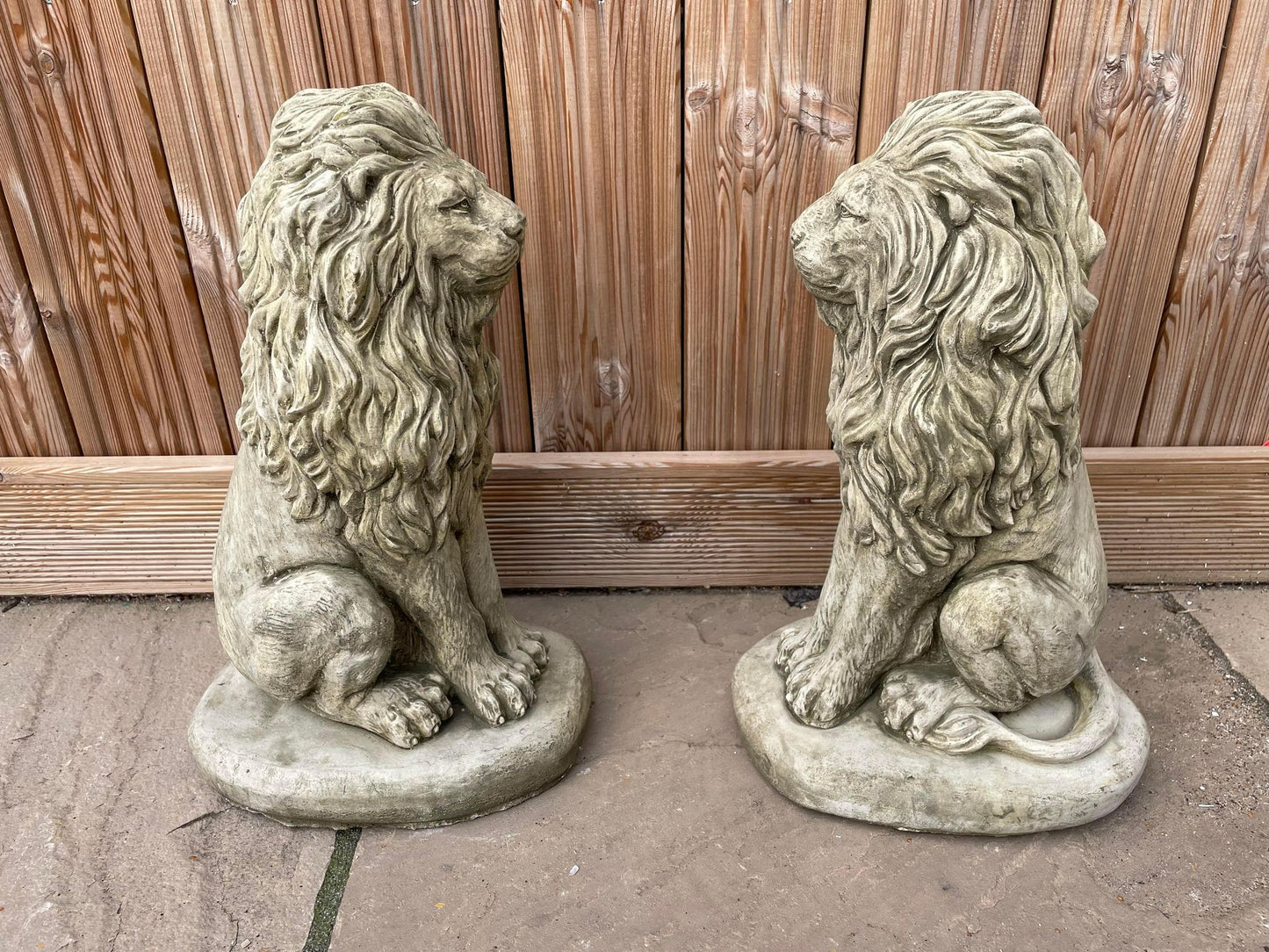 Pair of Sitting Lion Statue's - Backyard Bliss