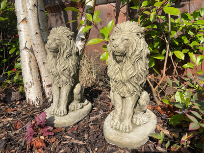 Pair of Sitting Lion Statue's - Backyard Bliss
