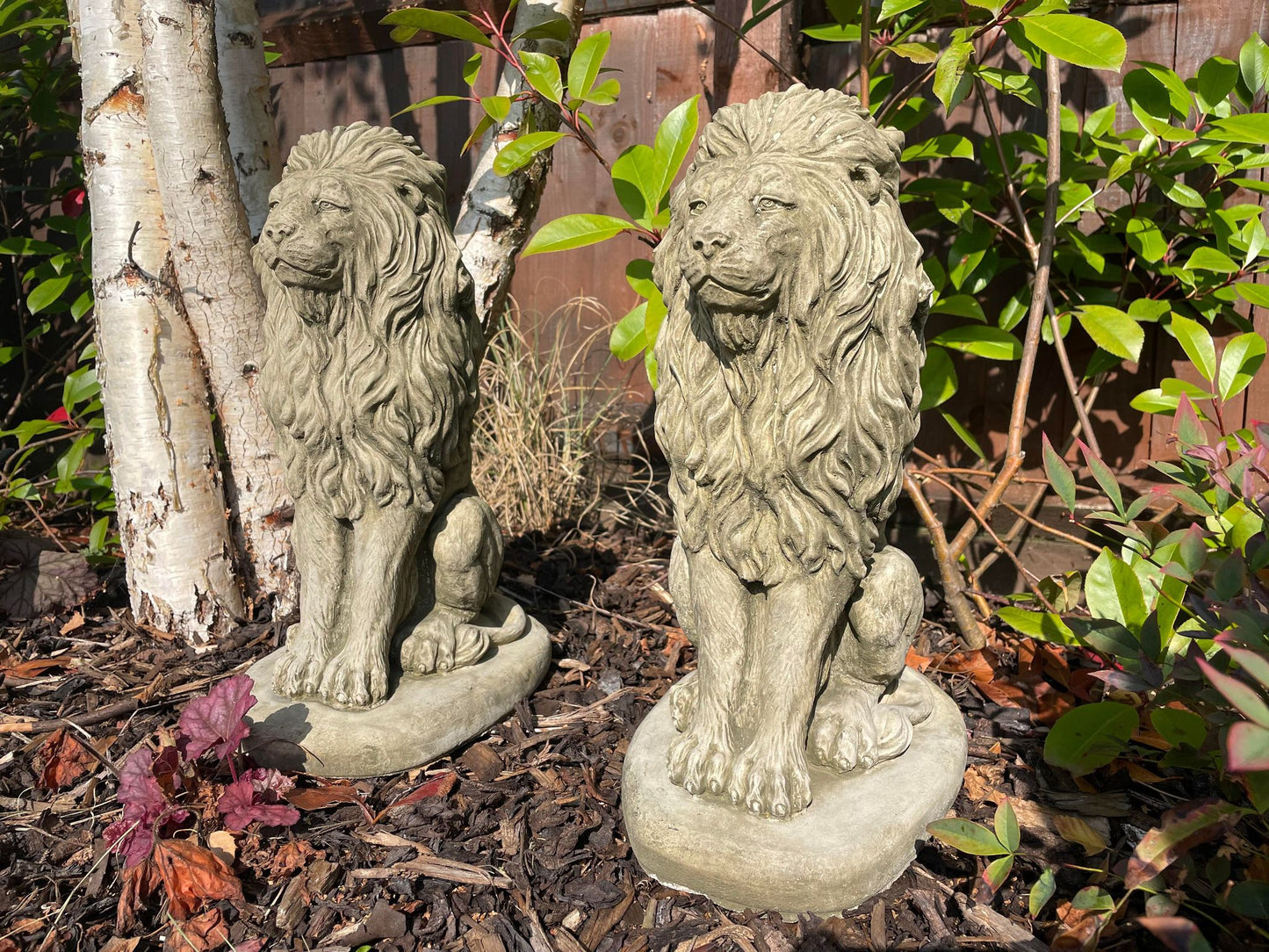 Pair of Sitting Lion Statue's - Backyard Bliss