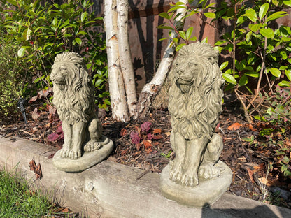 Pair of Sitting Lion Statue's - Backyard Bliss