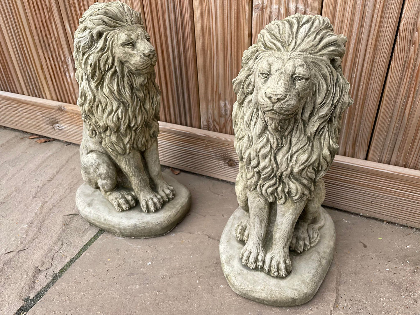 Pair of Sitting Lion Statue's - Backyard Bliss
